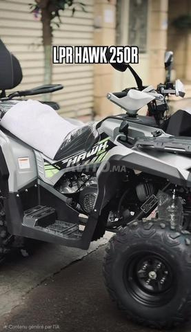 QUAD 250 CC 2026 300 km - 2