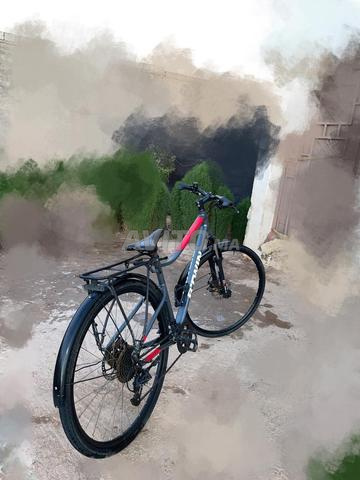 Oulad Teïma - 2