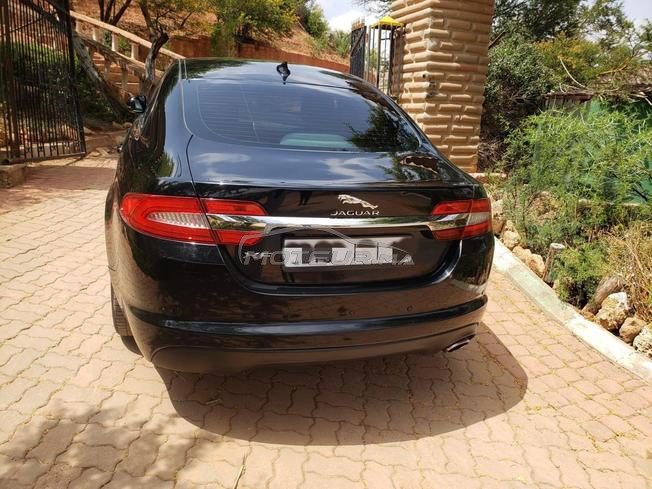 jaguar xf très état 