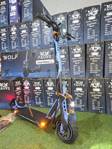 ⚡️ TROTTINETTE ECOXTREM BISON WOLF - 2