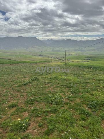 Commune Sidi Hssain Kaida - 2