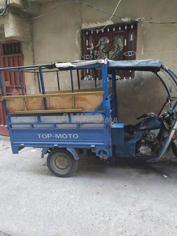 طنجة مسنانة