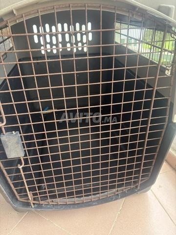 Grande cage pour chien marque Petmate - 2