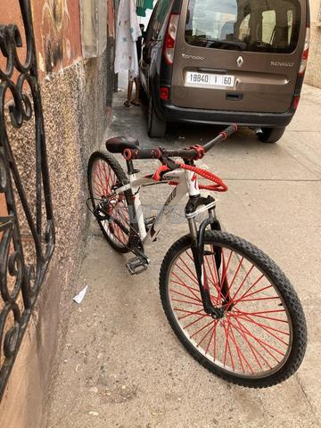 Vélo pour faire les courses - 2