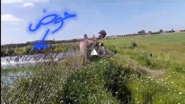 مزرعة مجهزة مسجلة للبيع في خميس متوح - 2