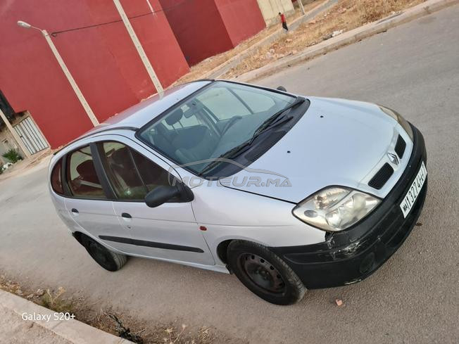 الحاجب المدينة كلها 