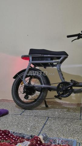 Elwing Yuvi - 2