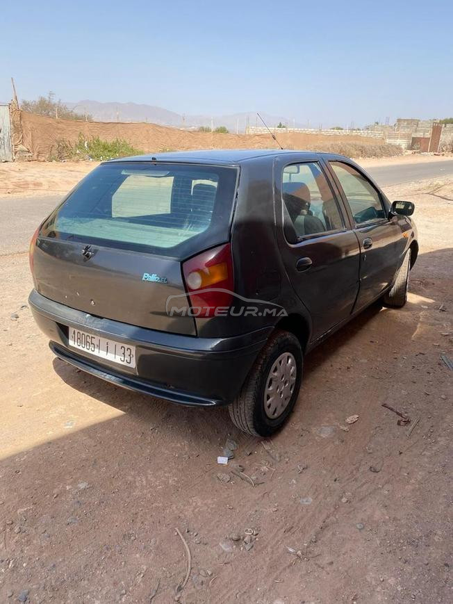 سيارة فيات باليو 