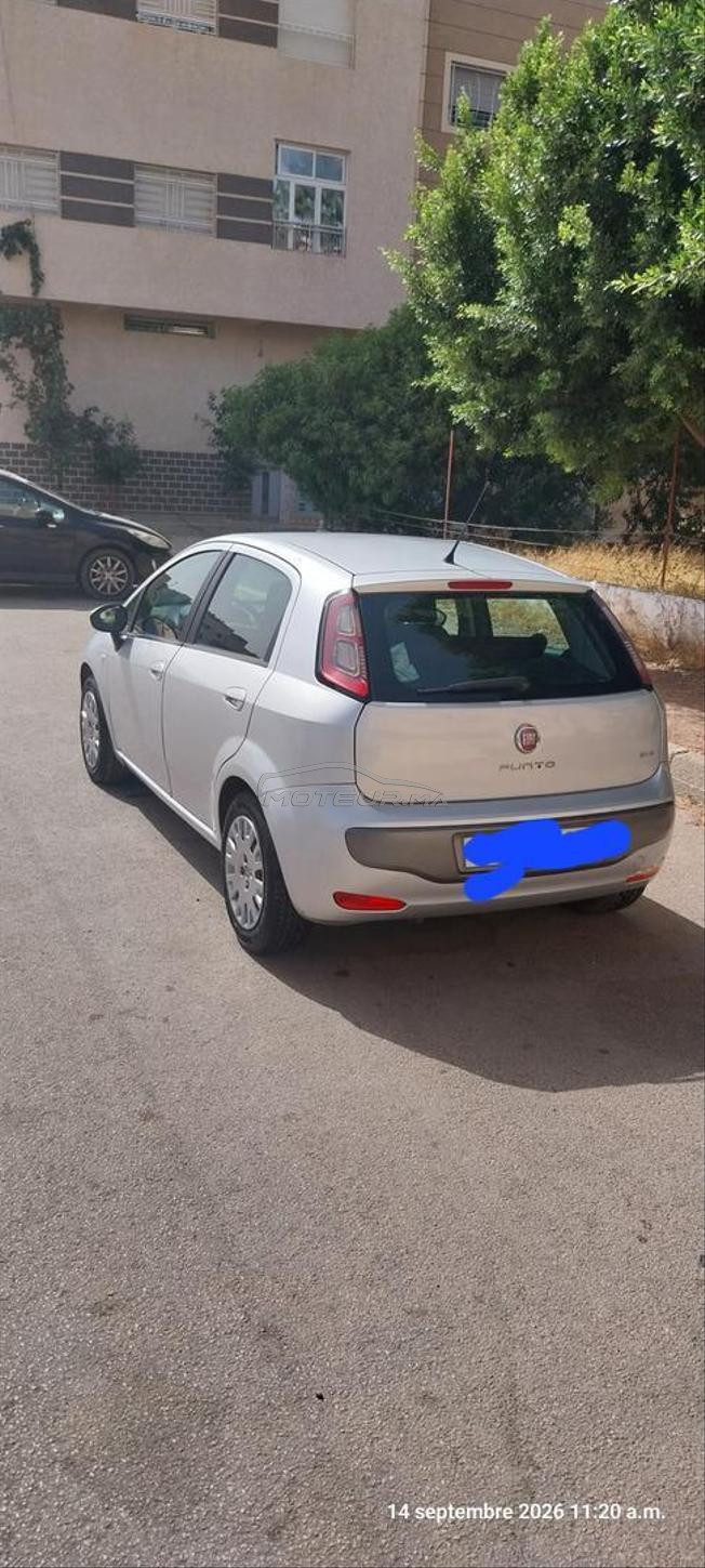 fiat punto 