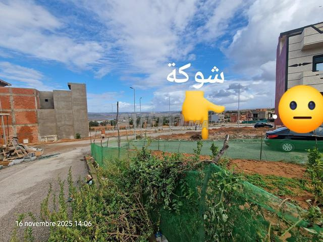 Offre de terrain titré à vendre  Larache