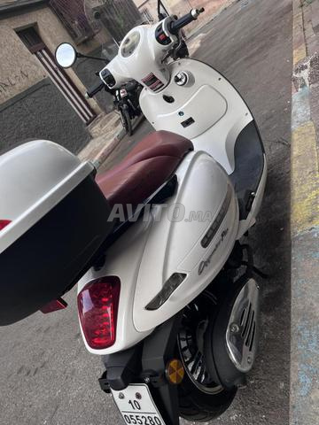 Cappuccino 2025 - 2