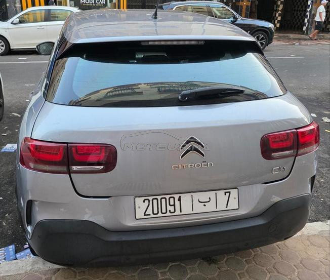 Citroen C-4 cactus