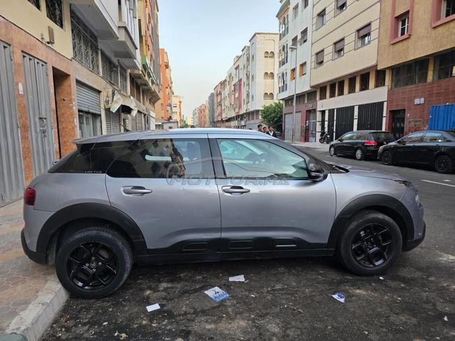 Citroen C-4 cactus