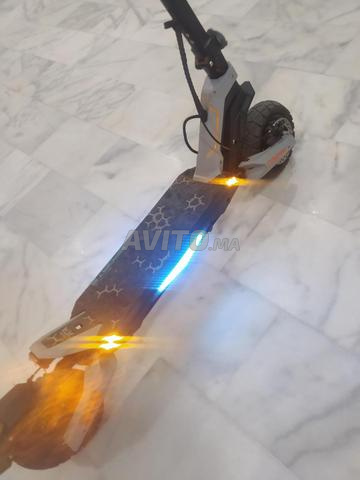 FAUVE AVIATOR DOUBLE MOTOR