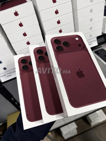 iPhone Pro Max 256 Go Burgundy Carte SIM et eSIM