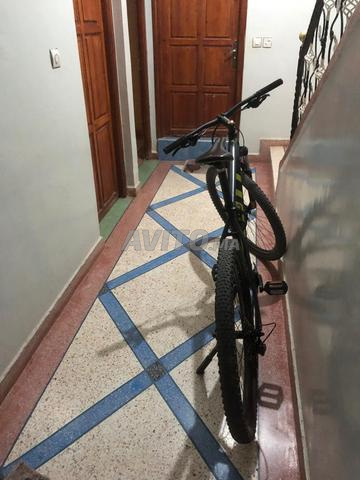 SCOTT VTT 950 29 - 2