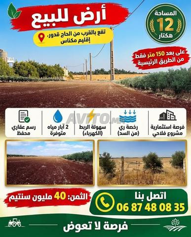 12 هكتار للبيع مكناس الحاج قدور، سند ملكية محفظ