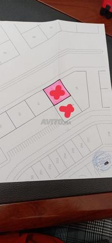 2 LOTS R4 A VENDRE RIAD TOULAL MEKNES 342M2