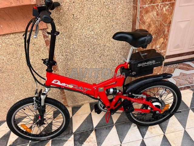 Vélo électrique Flying Cat