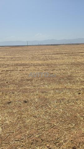 Terrain non cultivé en pleine propriété - 2