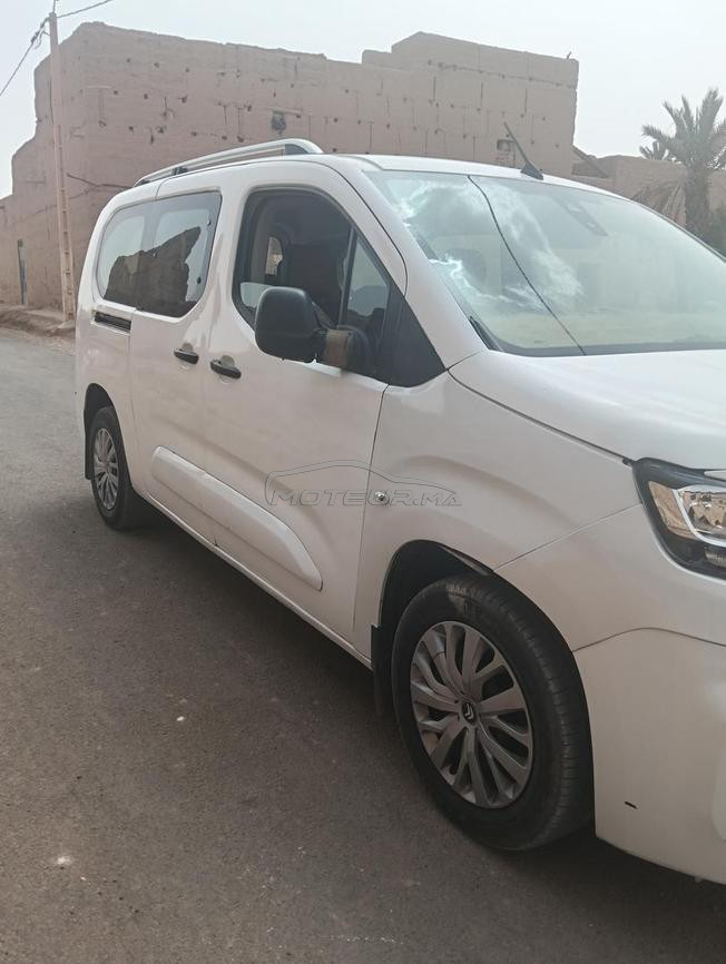 فاس المغربية 