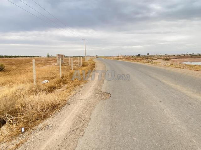 Terrain à vendre 10000 m² pour la construction de villa - 2