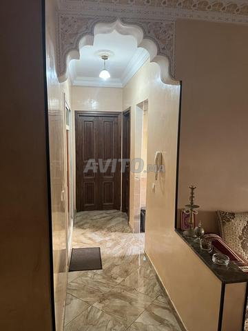 رياض الولفة - 2