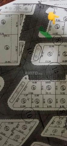 Offre de terrain commercial à vendre Ksar El Kebir