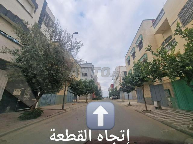 Offre de terrain commercial à vendre Ksar El Kebir