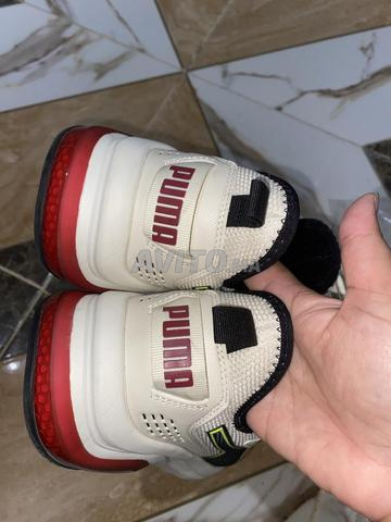 Puma Amplifier - 2