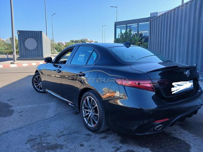 alfaromeo  guilia 