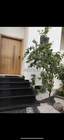 Magnifique villa à vendre - 2