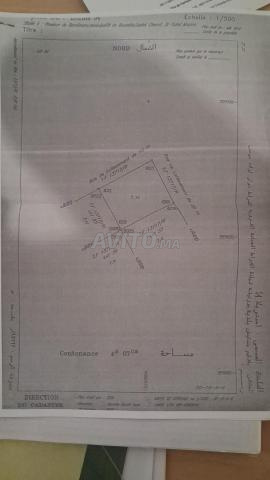 Terrain titré pour villa