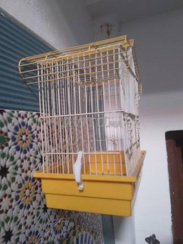 Cage à oiseaux au design unique, bon état et propre. - 2