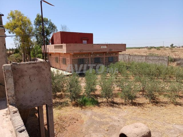 مزرعة للبيع 🌳 - 2