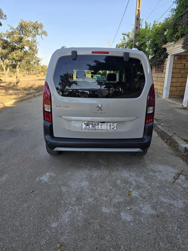 rifter 3amra tout option 12\2019