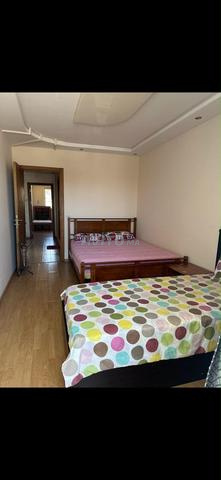 Appartement à louer pour étudiantes - 2