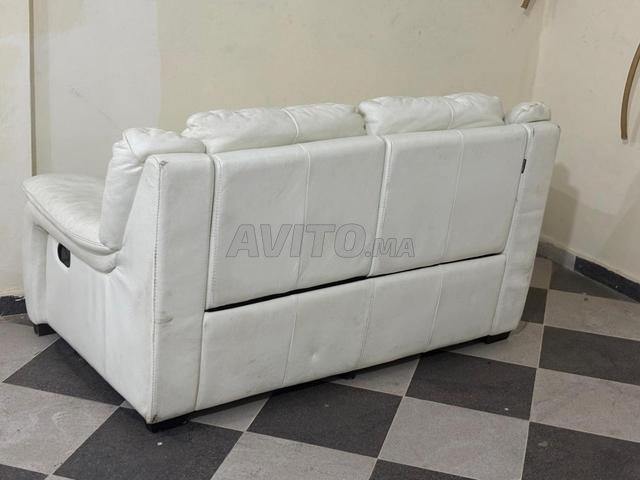 Vends relax cuir de buffle double manuel - 2