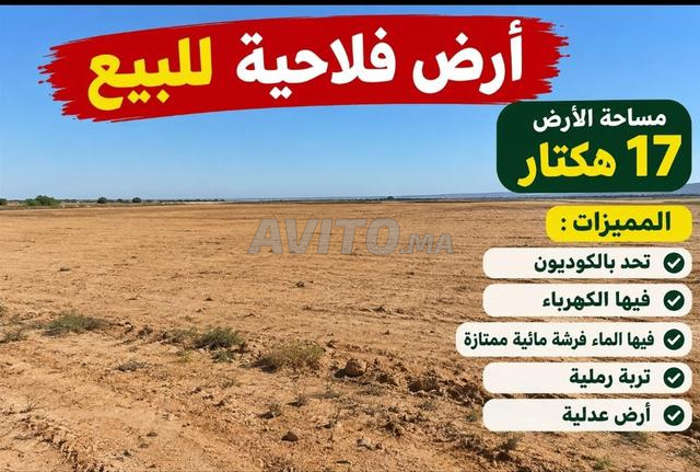 Terrain agricole 17 hectares - 2