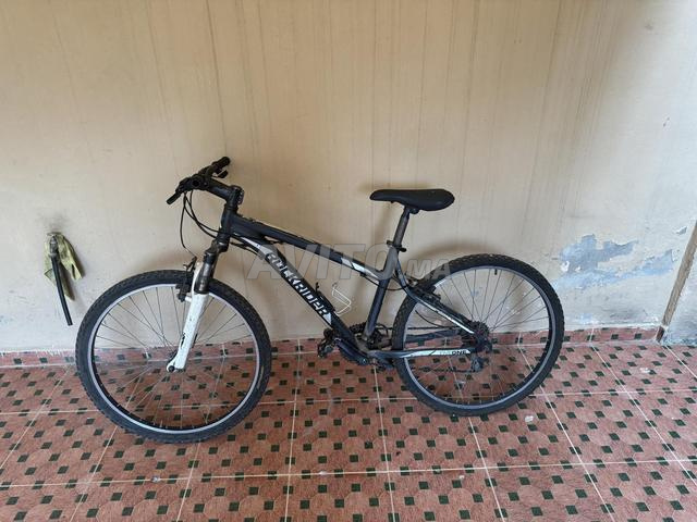 Rockrider