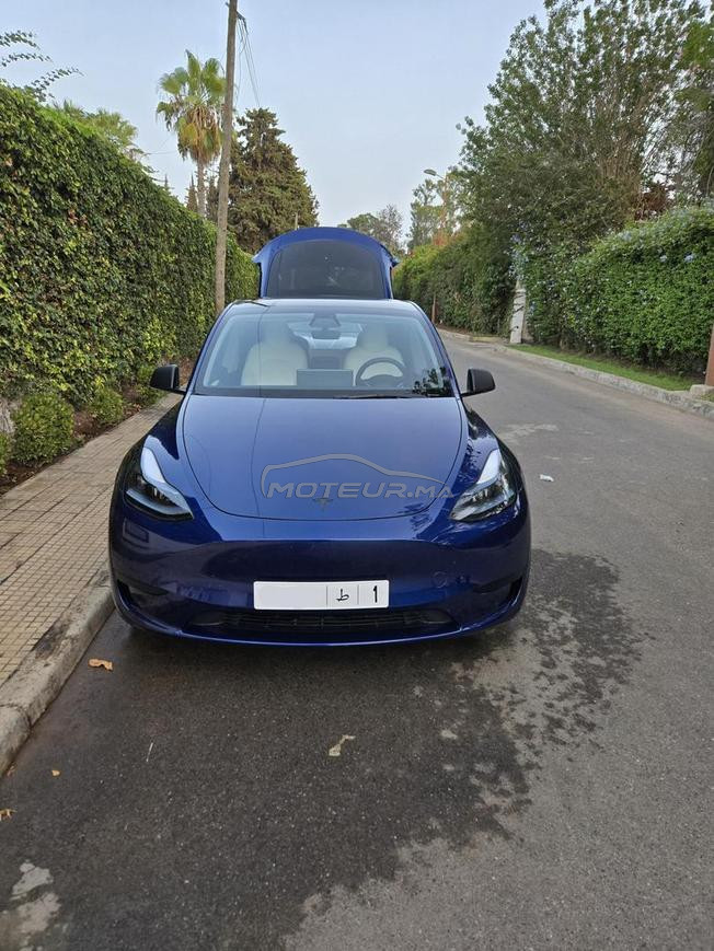 Tesla Model Y Parfait état 