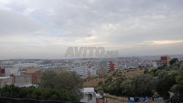 Terrain 2000 m2 titre 2face R4 tanjabalia sania - 2