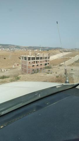 Terrain 2500 m2 titre 2face R4 tanjabalia 3emarar - 2
