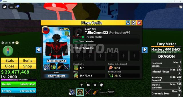 Compte Blox fruit lvl 2800 DRAGON EQUIPE - 2