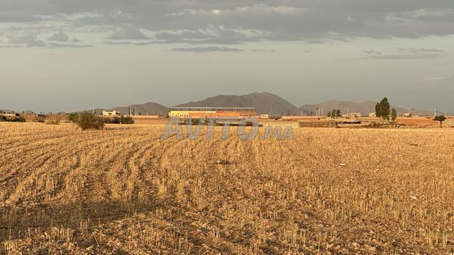 Terrain Villa 1Ha 5KM De Marrakech Vue Sur L'atlas