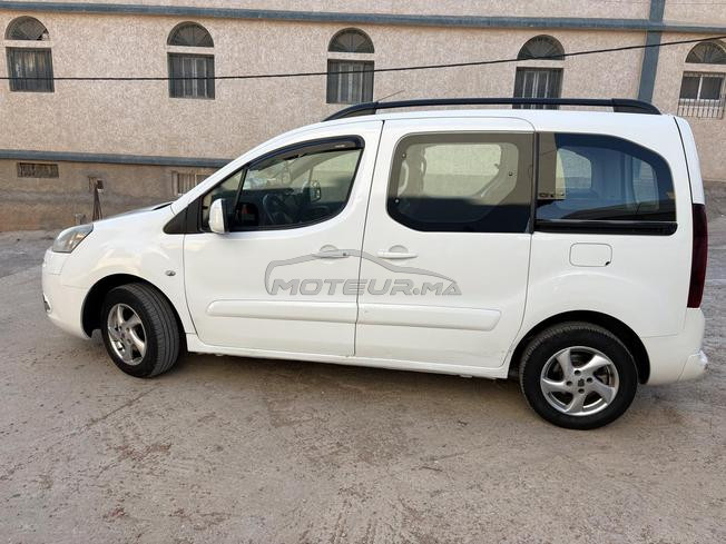 اشراقة حجر النحل طنجة 