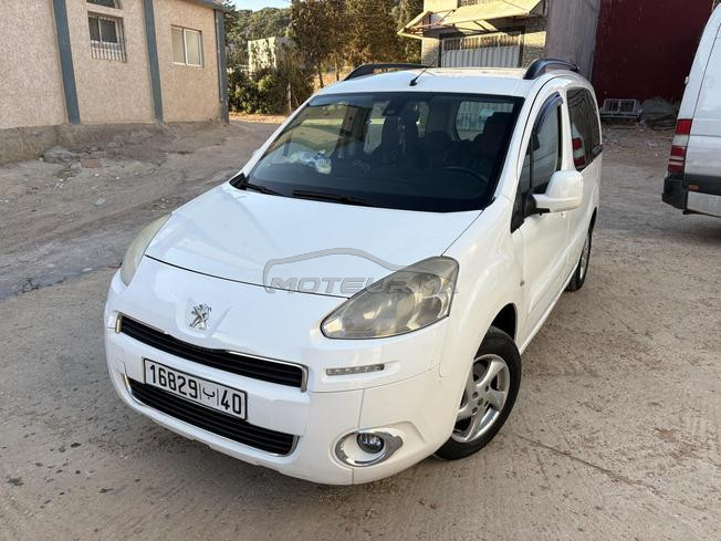 اشراقة حجر النحل طنجة 