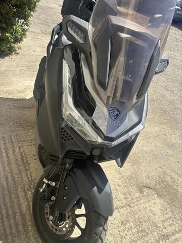 Scooter Wuben XMA1 49cc – 600 km – Garantie 1 an - 2