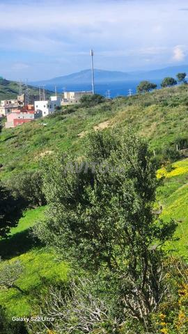 Terrain 2100 m2 titre vue sur mer Hasana Wadalian - 2