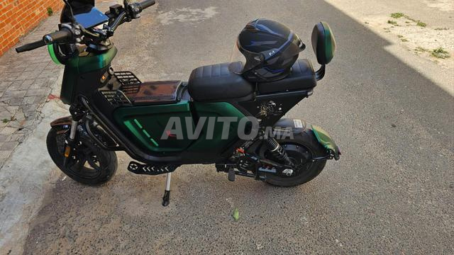 Cooper Touring Pro avec habillage Green Venom - 2
